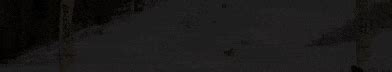 fis ski live timing